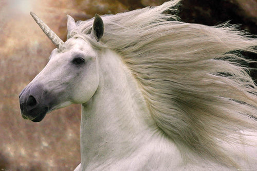 A majestic white unicorn with a flowing mane gallops in front of a blurred natural background. Its long, spiral horn and powerful build create an ethereal, mythical appearance. Perfect for the Life & Humour Collection, this Bob Langrish unicorn piece by ALT 054 adds a dynamic, magical aura to any cute poster lineup.