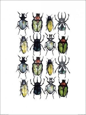 Stop Buggin Me - Sofie Rolfsdotter Large - Decor Series