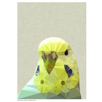 Buttons The Budgie - Studio Cockatoo Small - Featured Artists
