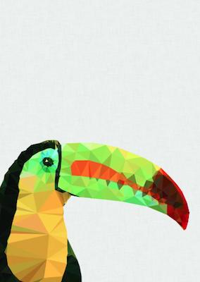 Toucan - Studio Cockatoo Small - Featured Artists