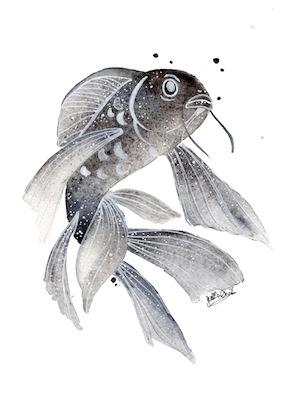 Black Koi by Jess Chen Small - Featured Artists