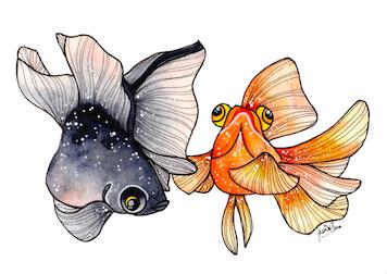 Goldfishes by Jess Chen Small - Featured Artists