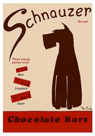 Schnauzer Chocolate Small - A3 Posters
