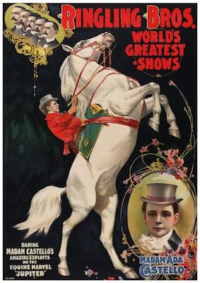 Ringling Bros Small - A3 Posters