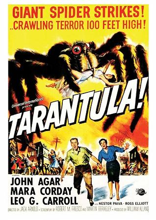 Tarantula Small - A3 Posters