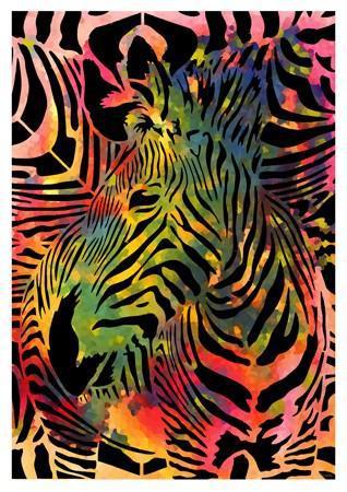 Zebra Colour Small - A3 Posters