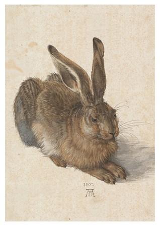 Fauna - Rabbit 1502 Small - A3 Posters
