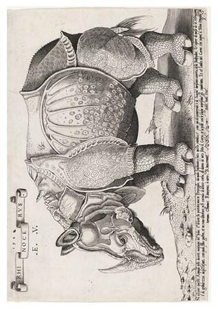 Fauna - Rhino Small - A3 Posters