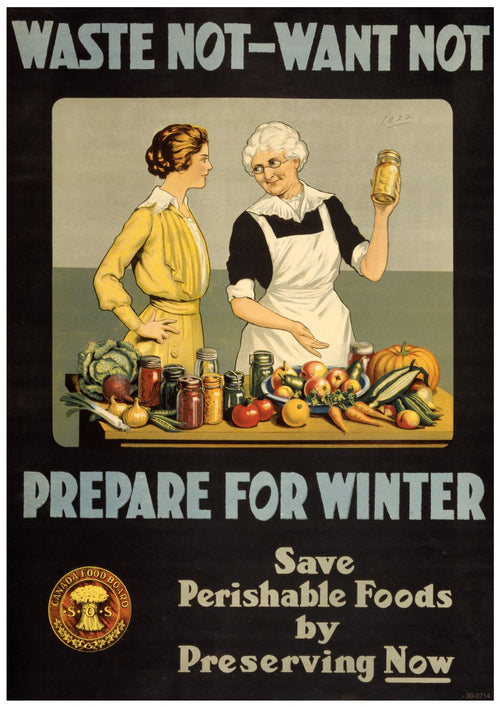 A vintage "Waste Not Want Not Propaganda Poster" by A3 136 featuring two women, one holding a jar, standing behind a table covered with preserved foods and fresh produce. The text reads "WASTE NOT - WANT NOT, PREPARE FOR WINTER, Save Perishable Foods by Preserving Now". Printed on 250gsm satin paper with the Canadian Food Board logo at the bottom left.