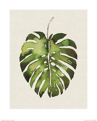 Summer Thornton - Tropical Leaf I Small - Decor Series