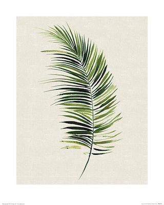Summer Thornton - Tropical Leaf II Small - Decor Series