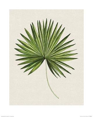 Summer Thornton - Tropical Leaf III Small - Decor Series