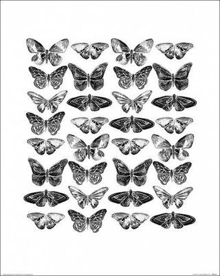 Butterflies - Sofie Rolfsdotter Small - Decor Series