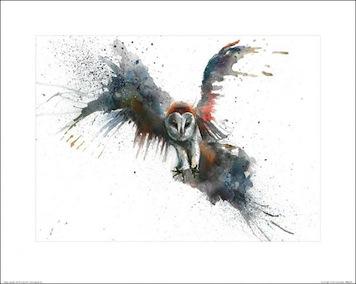 Eric In Flight - Sarah Stokes Small - Decor Series