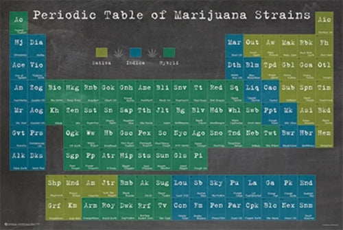 Introducing the ALT 024 "Periodic Table of Marijuana" poster, featuring a periodic table of cannabis strains on a blackboard-like background. Strains are color-coded into Sativa (blue), Indica (green), and Hybrid (gray). Each strain is showcased with a square block displaying its name, printed on 150gsm gloss paper for vibrant clarity.