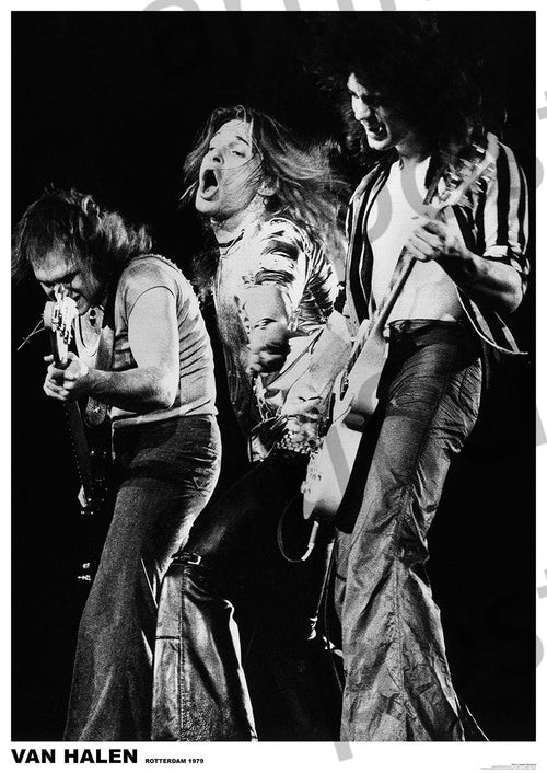 Black and white photograph of three members of the rock band Van Halen performing on stage in Rotterdam, 1979. One member sings passionately into the microphone, while the others play electric guitars energetically. Printed on premium 150gsm gloss paper, this Van Halen Rotterdam 1979 by MUS 053 is a must-have for any Rock Poster collection. Text at the bottom reads "VAN HALEN ROTTERDAM 1979.