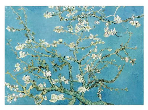 An exquisite depiction titled "Vincent Van Gogh - Almond Branches" from Blue Dog Posters showcases blossoming almond branches set against a vibrant blue background. The branches are adorned with delicate white flowers and green buds, creating a striking contrast between the detailed foreground and the smooth shades of blue in the backdrop. It's an ideal addition to any art collection or as captivating door posters.