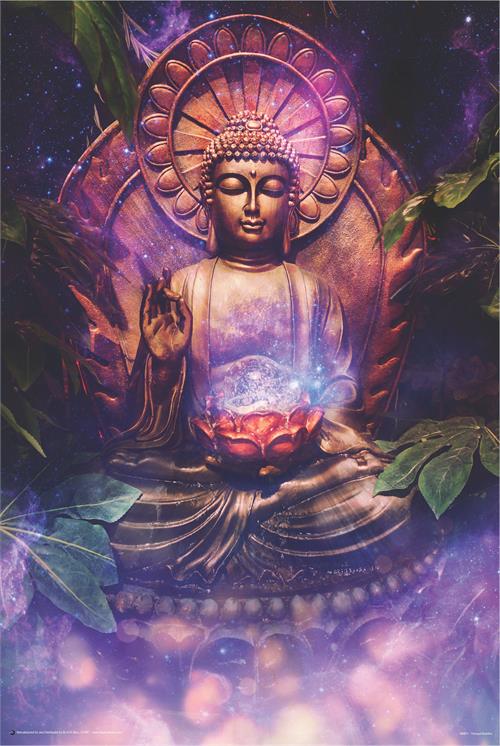 A serene, golden Buddha statue is surrounded by mystic, colorful cosmic swirls. The Buddha is seated in a meditative pose on a lotus, with one hand raised and the other resting on the knee, glowing with ethereal light. Lush green leaves frame the scene in this TRANQUIL BUDDHA alternative poster by ALT 001.