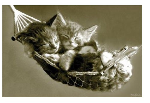 Two NAT 017 Kittens are cuddled together, sleeping peacefully in a small hammock. The sepia-toned image highlights the serene and cozy atmosphere as they rest in the suspended net, exuding animal magnetism and creating a warm and gentle scene perfect for a creature-themed poster.