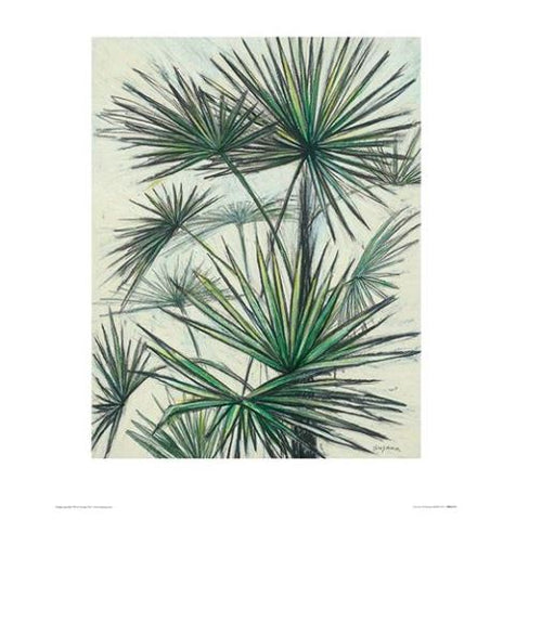 A beautiful art print featuring a detailed illustration of multiple green palm fronds radiating from central points, creating a pattern of overlapping leaves. The light background highlights the intricate, spiky shapes with shades of green and hints of yellow, perfect for any flora-themed decor series. This is the "Fan Fern by Shyama Ruffell" from Blue Dog Posters.
