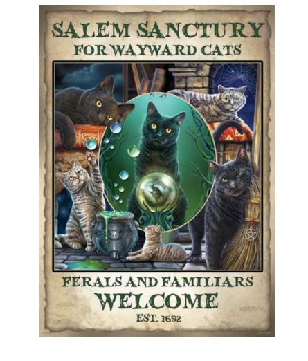 An illustrated art print reads "Salem Sanctuary for Wayward Cats. Ferals and Familiars Welcome. Est. 1692." It depicts various cats, including a black cat with glowing green eyes in a crystal ball, amidst potion bottles, a broom, and a spell book, evoking a magical theme. Part of our MEZ Decor Series on matte art paper is the Lisa Parker Print - Salem Sanctuary.
