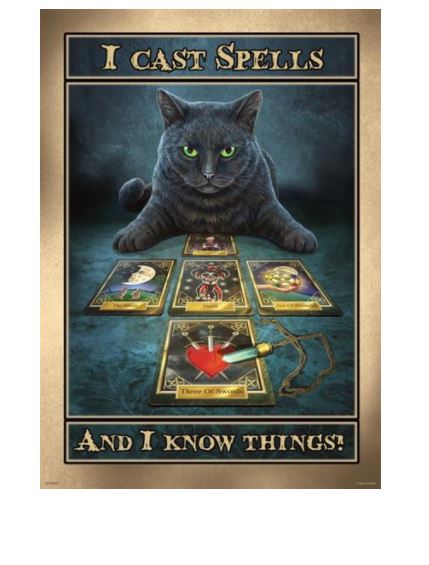 A MEZ Lisa Parker Print - The Dark Readers featuring a black cat with green eyes sitting behind a layout of tarot cards, printed on premium quality matte art paper. The text above the cat reads, "I cast spells," while the text below reads, "And I know things!" The background depicts a mystical, dark atmosphere.