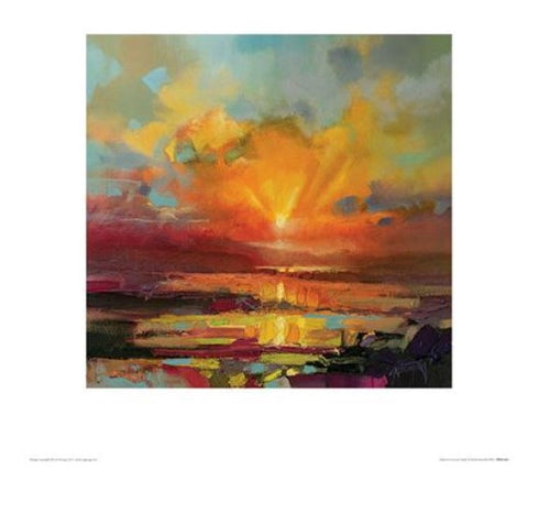 A vibrant painting from the Blue Dog Posters Collection depicting a colorful sunset over a serene landscape. The sky is ablaze with hues of orange, yellow, and pink, reflecting on the water below, which features splashes of purple, red, and green. Abstract brushstrokes create a dynamic and lively Optimism Sunrise Study by Scott Naismith on premium quality matte art paper.