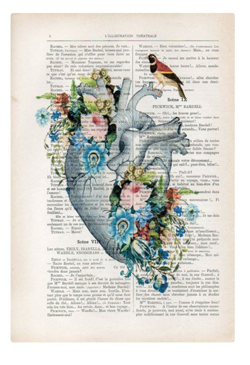 An anatomical illustration of a heart is overlaid on the text of an antique French book page. The heart is adorned with colorful flowers and a small bird perched on its left side, blending medical and botanical themes with a whimsical touch, creating a unique print that enchants any viewer. This enchanting piece is known as the Antique Book print 29 x 19cm Blue Heart by ABP.