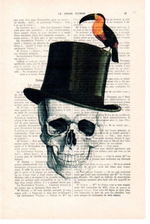 An illustration of a skull wearing a black top hat sits overlaid on a page filled with French text from antique French books. A colorful toucan perches on the top hat, adding a touch of vibrant contrast to the unique illustrated design of the monochrome skull and hat. This is the **Antique Book print 29x19cm Skull & Bird** by **ABP**.
