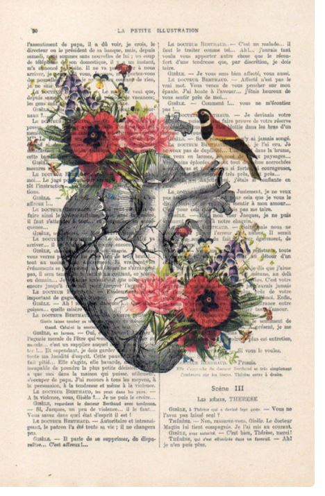 An illustration depicts an anatomical heart overlaid on a page from an antique French book. Vibrant flowers and plants surround and integrate with the heart. A bird is perched on one flower, adding to the blend of nature and anatomy in this unique print, which is titled "Antique Book print 29x19cm Heart Bird" by ABP.