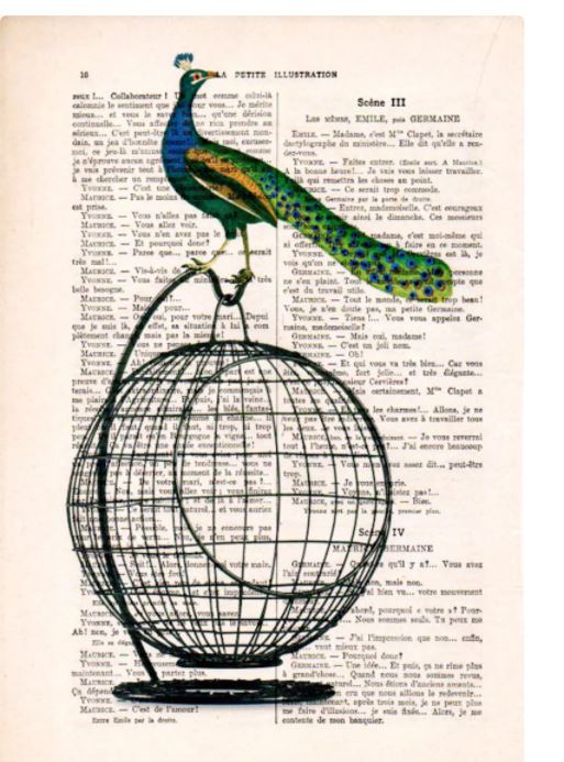 A colorful peacock illustration perched atop an empty birdcage is superimposed over a page of vintage French text, evoking the charm of antique French books. This unique print by the acclaimed French artist ABP contrasts vibrant peacock feathers with the black wire cage and sepia-toned text in their Antique Book Print 29x19cm Peacock.