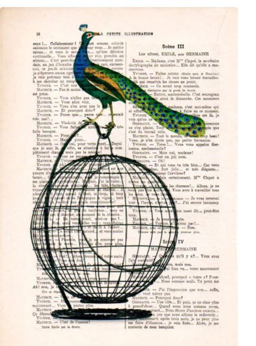 A colorful peacock illustration perched atop an empty birdcage is superimposed over a page of vintage French text, evoking the charm of antique French books. This unique print by the acclaimed French artist ABP contrasts vibrant peacock feathers with the black wire cage and sepia-toned text in their Antique Book Print 29x19cm Peacock.