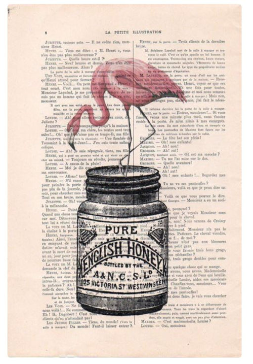 A vintage page features an illustration of a flamingo standing atop a jar of "Antique Book print 29x19cm Flamingo," edited by ABP. The text and illustrated designs blend together in a whimsical style, evoking the charm of antique French books.