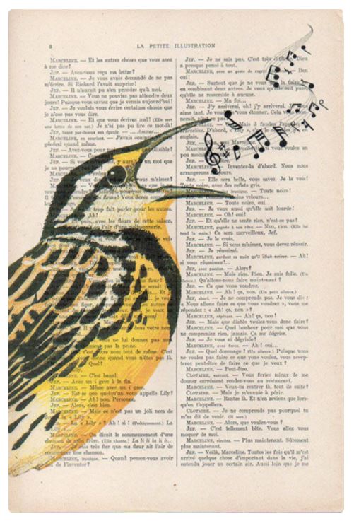 An artistic illustration depicts a bird with yellow and black plumage perched on a vintage book page. The bird is singing, and musical notes are flowing from its beak, adding a whimsical touch to the literary backdrop. This unique print beautifully showcases illustrated designs inspired by antique French books. The Antique Book print 15x21cm Bird Singing by ABP captures this enchanting scene perfectly.