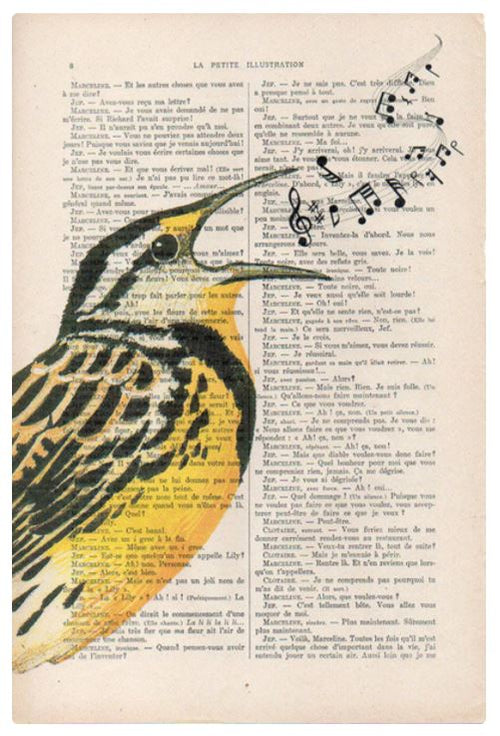 An artistic illustration depicts a bird with yellow and black plumage perched on a vintage book page. The bird is singing, and musical notes are flowing from its beak, adding a whimsical touch to the literary backdrop. This unique print beautifully showcases illustrated designs inspired by antique French books. The Antique Book print 15x21cm Bird Singing by ABP captures this enchanting scene perfectly.