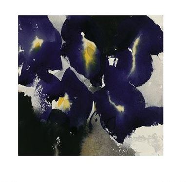 David Ross's "Iris Laevigata" from Brand Y showcases an abstract watercolor painting featuring dark purple and blue flowers with hints of yellow and white accents. The flowers blend seamlessly into the dark, shadowy background, creating a striking contrast. This piece from our Small Decor Series Art Prints evokes a sense of mystery and depth.
