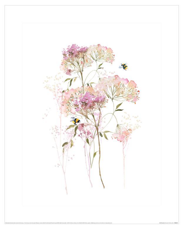The "Summer Thornton Wild Meadow" art print by Blue Dog Posters showcases a minimalist botanical design with delicate pink and white flowers accompanied by green stems. Two bumblebees hover near the blossoms against a crisp white background, adding a lively touch to this elegant flora-themed composition, making it an ideal addition to your small decor series.