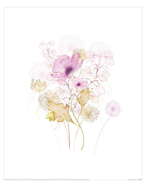 The "Summer Thornton Honesty" art print by Blue Dog Posters showcases a delicate watercolor illustration featuring various flowers and leaves in soft pastel tones. Prominent shades include pale pinks, purples, and light greens. The composition creates a serene, airy feel with intricate details that emphasize fine textures. This beautiful flora-themed piece is part of our Small Decor Series Art Prints collection.