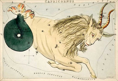 The Vintage Zodiac 14x19.5cm Capricorn by Blue Dog Posters features an illustrated depiction of the Capricorn zodiac sign, showing a mythical creature with the front half resembling a goat and the back half resembling a fish. The creature is surrounded by celestial coordinates and star formations on a pale blue background, part of our Small Decor Series on premium quality art paper.