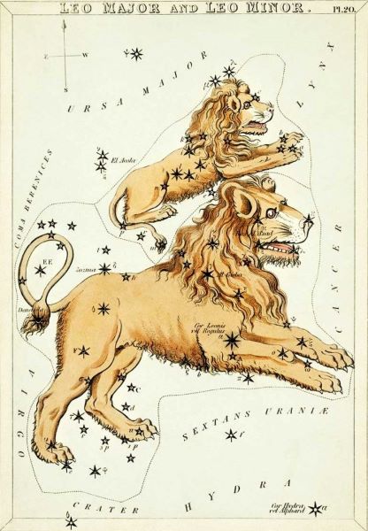 The Vintage Zodiac 14x19.5cm Leo by Blue Dog Posters features a stunning vintage star map illustration of the constellations Leo Major and Leo Minor as lions. This piece, part of the Decor Series Collection, is adorned with star positions and constellation lines, and it also labels constellations like Ursa Major, Cancer, and Hydra—perfect for any astrology-themed decor.