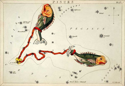 The "Vintage Zodiac 14x19.5cm Pisces" by Blue Dog Posters is an old star map depicting the Pisces constellation with two large, colorful fish connected by a red ribbon, printed on premium quality Matte Art Paper. The background features labeled stars and constellations like Pegasus and Andromeda, with a compass rose indicating north in the top right corner.
