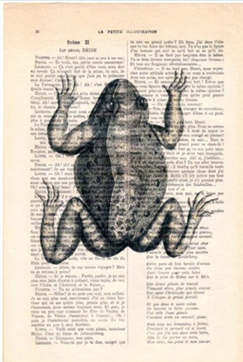 The Blue Dog Posters' "Antique Book prnt 29x19cm BW Frog" features a vintage black and white illustration of a frog centered over a page of French text from an old book or magazine. The text is arranged in two columns, with the frog's image strategically placed to cover the text while still allowing some words to remain visible.