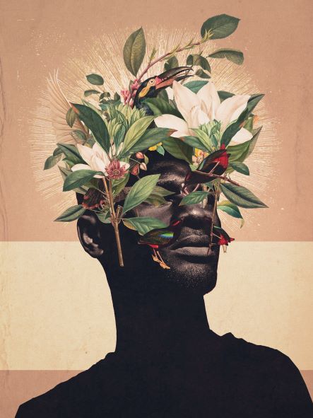 A silhouette of a person's head and shoulders is overlaid with an intricate, surreal arrangement of flowers, leaves, birds, and butterflies emerging from the top. This art print, titled "Birds are my Real Origin" by featured artist Frank Moth and brought to you by Blue Dog Posters, showcases a muted, vintage-style gradient background.