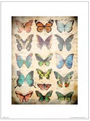 Introducing "Butterflies" by MEZ: a vintage-style print showcasing sixteen vibrant butterflies displayed in a 4x4 grid. These butterflies come in an array of colors, such as shades of orange, blue, green, and brown. They are set against a faded, sepia-toned background adorned with handwritten script details.