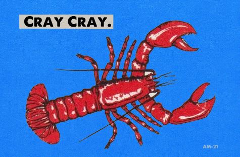 Illustration of a red crayfish against a blue background with the text "CRAY CRAY" written in block letters in the upper left corner. The crayfish is positioned diagonally, with its claws open. Perfect for any postcard collection, this piece is signed "AM - 21" in the lower right corner. The Retro Animal Postcard - Cray Cray by Blue Dog Posters adds a quirky charm to your collection.