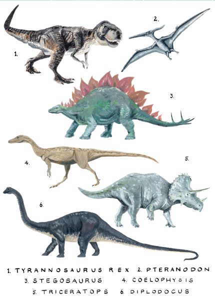 Illustration of six dinosaurs labeled with numbers and names: 1. Tyrannosaurus Rex, 2. Pteranodon, 3. Stegosaurus, 4. Coelophysis, 5. Triceratops, and 6. Diplodocus. This striking art print titled "Dinosaurs Study Numbered by Simone Hale" from the brand fap is crafted on high-quality satin paper and is part of our Featured Artists Collection, showcasing vibrant colors and intricate details.