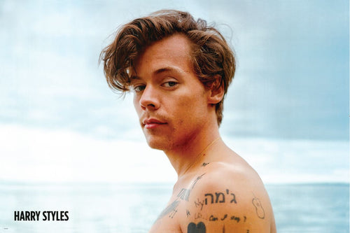 A person with short, tousled hair is standing shirtless against a background of a clear sky. They have several tattoos on their arms and torso. The text "Harry Styles - Sea & Sky" is written in the lower left corner of this pop poster by MUS 203, perfect for any music collection.