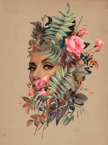 ‘Halcyon Days’ by Frank Moth, available as an Art Print in the Blue Dog Posters Featured Artists Collection, presents a surreal illustration where a woman's face seamlessly emerges from an array of leaves and flowers. Pink roses and various green foliage blend nature with human features, creating a vibrant, dreamy fusion that resembles a natural mask.