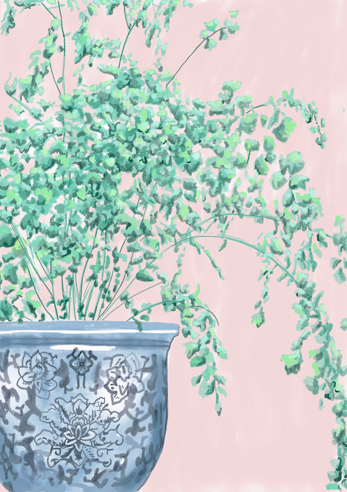 The Maidenhair Fern in Chinese Pot, available from Blue Dog Posters, features delicate green leaves that gracefully spill over the sides of an intricately designed blue and white ceramic pot. The background is a soft, light pink, evoking the charm of Mini prints from our Little Art series.