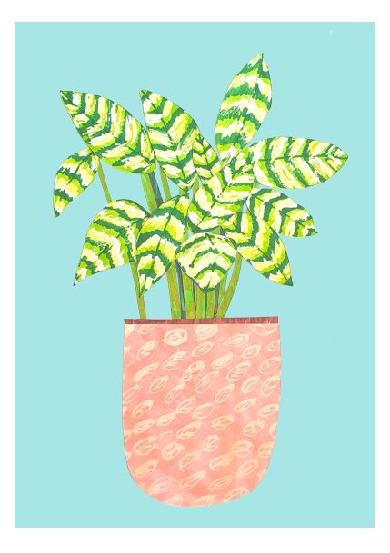 The Variegata Plant Collage A5 by A5 depicts a potted plant with green and yellow striped leaves. The plant is placed in a pink pot adorned with a textured, circular pattern, set against a solid light blue background. This illustration is ideal for Mini prints or displaying in Deluxe Postcard Frames.